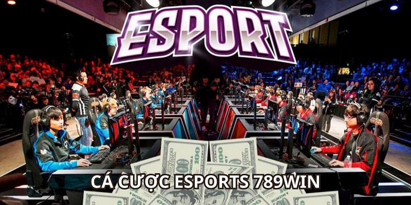 789Win là sân chơi cá cược Esports an toàn và đáng trải nghiệm